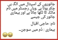 Janwaron ka hospital aur ilaj
